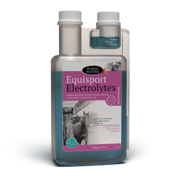 Electrolytes Horse Master Equisport 1L