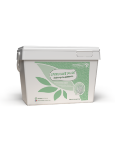 PhytoMaster Pure Spirulina