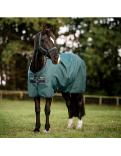 Couverture D'extérieur Horseware Amigo Poney 50gr VERT DYNASTY/MARINE/ARGENT