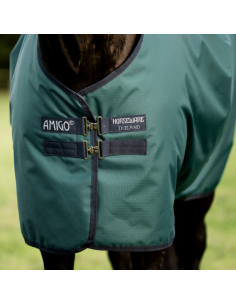 Couverture D'extérieur Horseware Amigo Poney 50gr VERT DYNASTY/MARINE/ARGENT 2