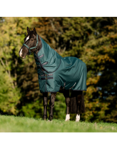 Couverture D'extérieur Horseware Amigo Plus Poney 200gr VERT DYNASTY/MARINE/ARGENT