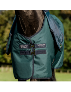 Couverture D'extérieur Horseware Amigo Plus Poney 200gr VERT DYNASTY/MARINE/ARGENT 2
