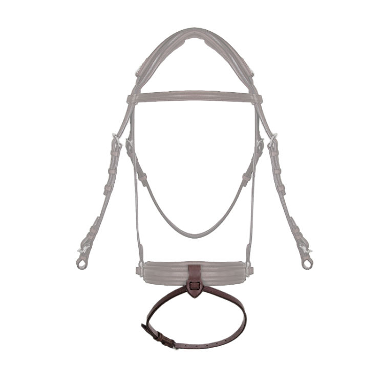 Noseband CWD Contact