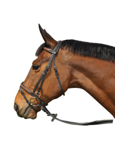 Bridon Flags & Cup Oslo