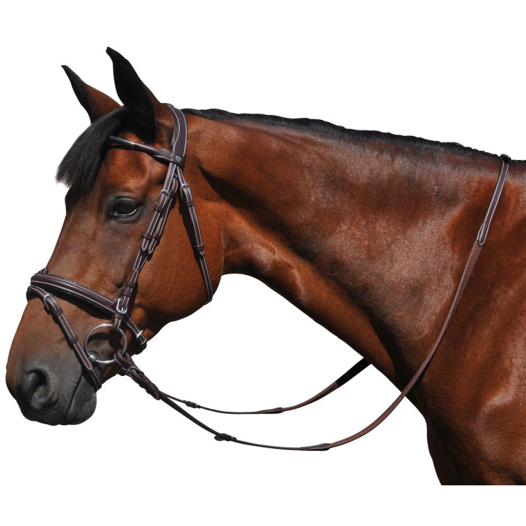 Bridon Flags & Cup Doha