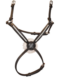 Muserolle Flags & Cup Mechelen croisée