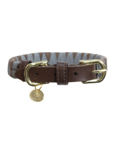 Collier pour Chien Kentucky Triangle