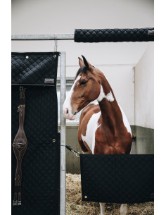 Porte de Boxe Kentucky bordeaux 2