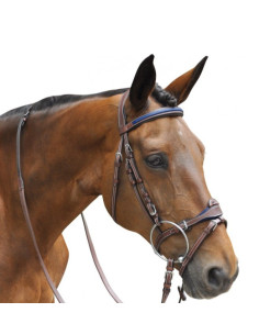 Bridon Flags&Cup Paris