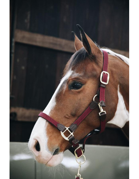 Licol Kentucky Nylon Tressé bordeaux