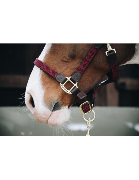 Licol Kentucky Nylon Tressé bordeaux