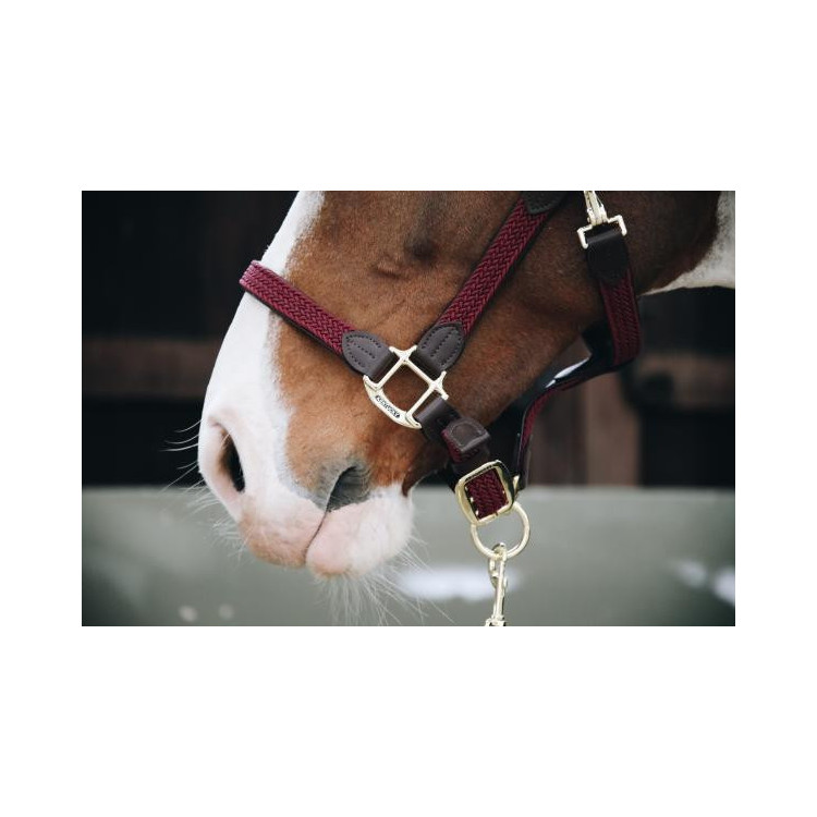 Licol Kentucky Nylon Tressé bordeaux