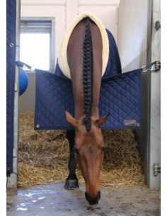 Porte de Boxe Kentucky bordeaux 2