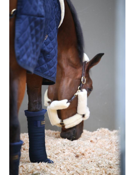 Kentucky Bande de Repos Repellent marine