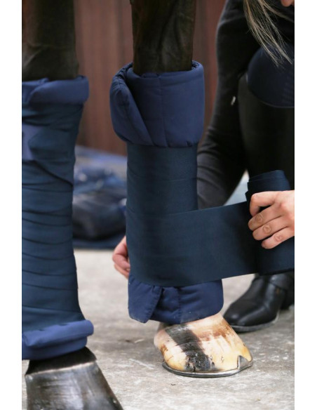 Kentucky Bande de Repos Repellent marine