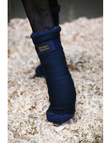 Kentucky Bande de Repos Repellent marine