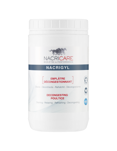 Argile Nacricare Nacrigyl 1,3L