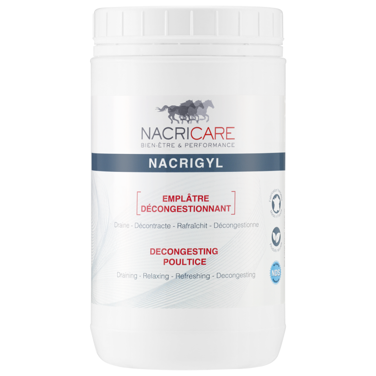 Argile Nacricare Nacrigyl 1,3L