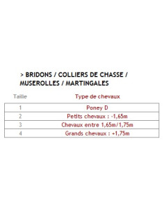 Martingale CWD Elastique châtaigne 2