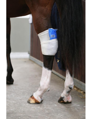 Kentucky Tendon Grip Chaussette noir