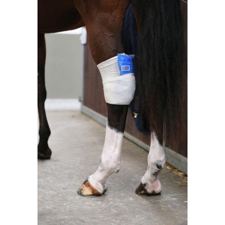 Kentucky Tendon Grip Chaussette beige