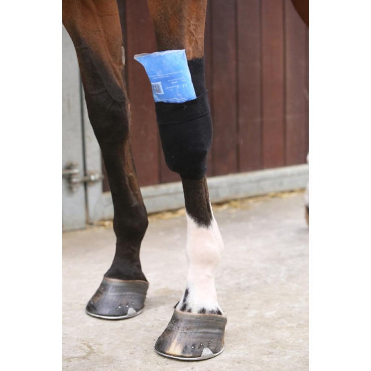 Kentucky Tendon Grip Chaussette noir