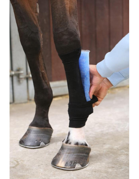 Kentucky Tendon Grip Chaussette noir
