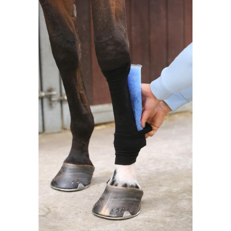 Kentucky Tendon Grip Chaussette noir