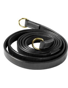 CWD Gogue 2
