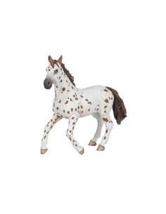 JUMENT APPALOOSA BRUNE PAPO