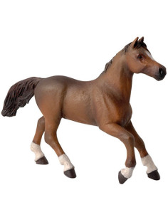 JUMENT ANGLO-ARABE PAPO