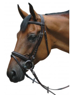 Bridon Privilège Equitation Le Touquet 2