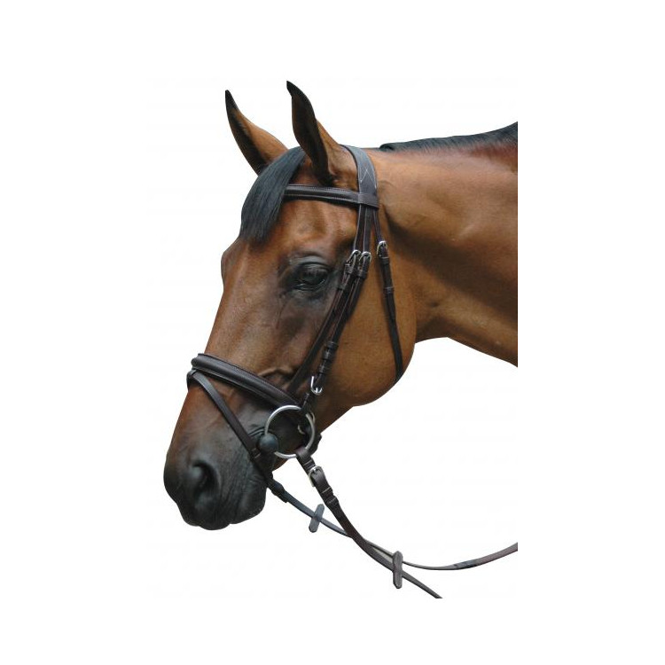 Bridon Privilège Equitation Le Touquet