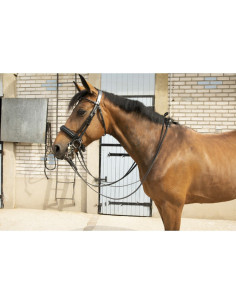 Penelope "Point Sellier" Bridle Black