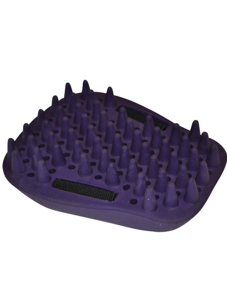 Étrille Kris Ergonomique violette