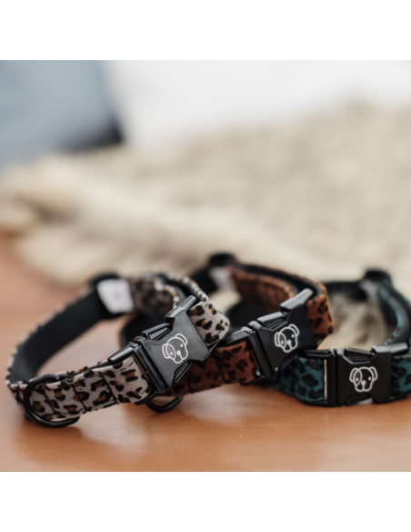Collier pour Chien Kentucky Léopard