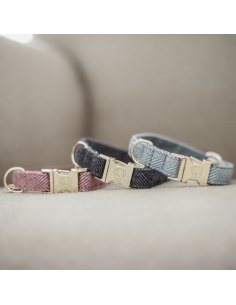 Collier pour Chien Kentucky Laine beige 2