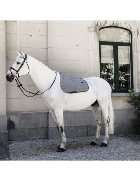 Tapis Kentucky Pied De Poule Jumping noir