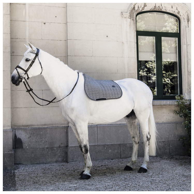 Tapis Kentucky Pied De Poule Jumping noir