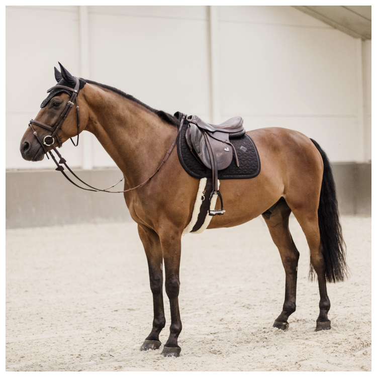 Tapis Kentucky Glitter Rope Jumping noir