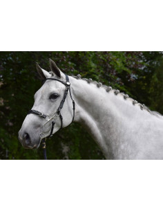 Bridon Jump'In Week Hackamore