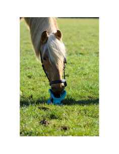 Bizzy Ball Likit Blue