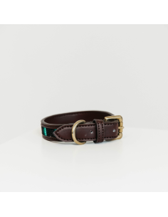 Kentucky Pearl Dog Collar 2