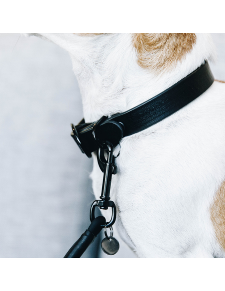 Collier Pour Chien Kentucky Soft Rubber noir