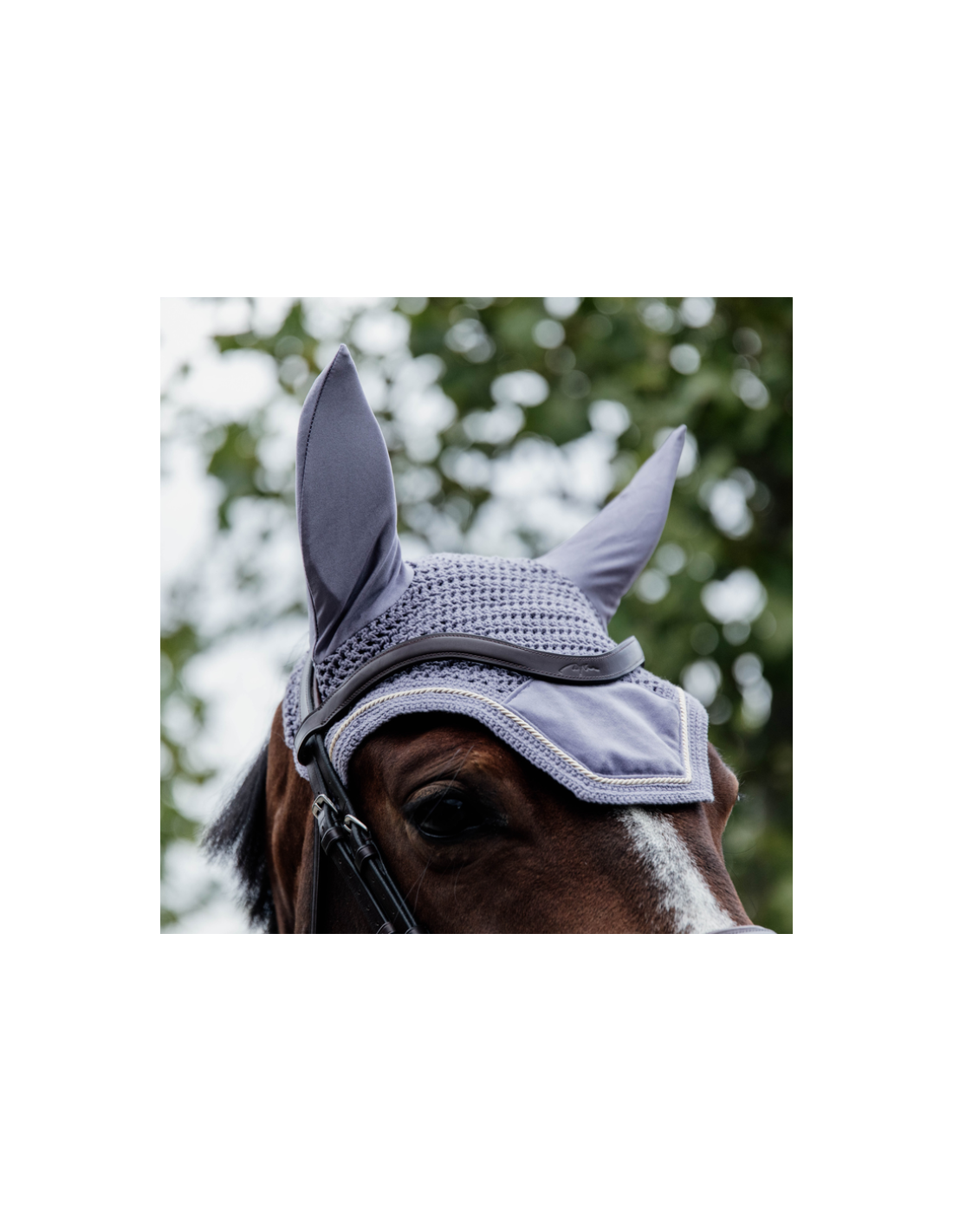 Bonnet Kentucky Wellington Velvet | Equipement du cheval