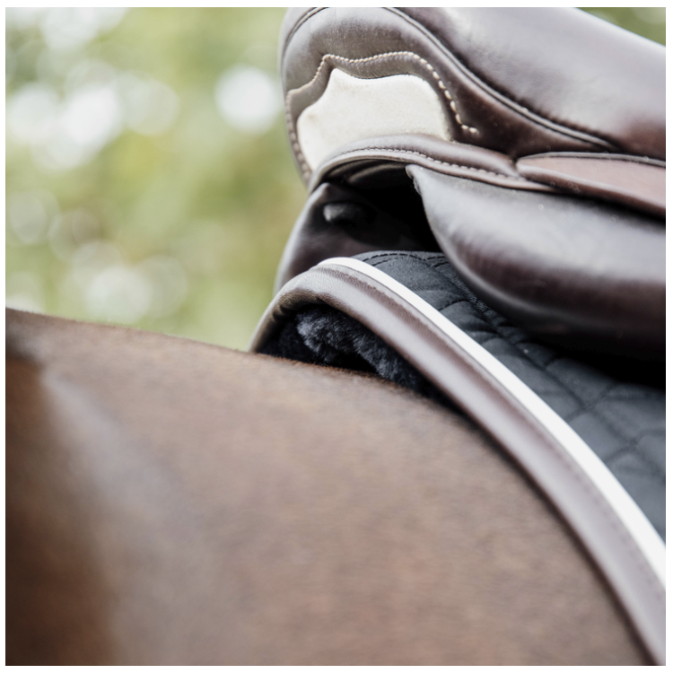 Tapis De Selle Kentucky Skin Friendly noir