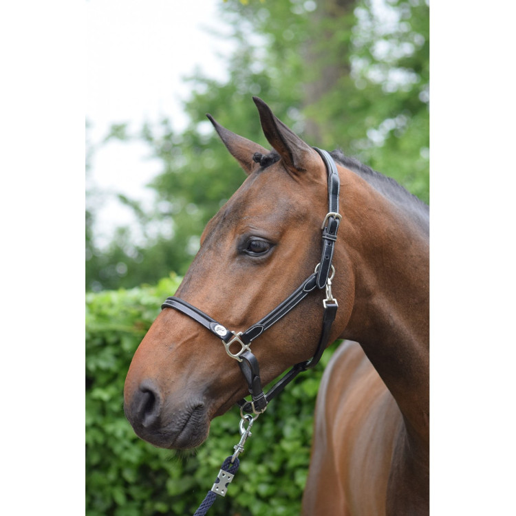 Licol Jump'In de Pansage noir