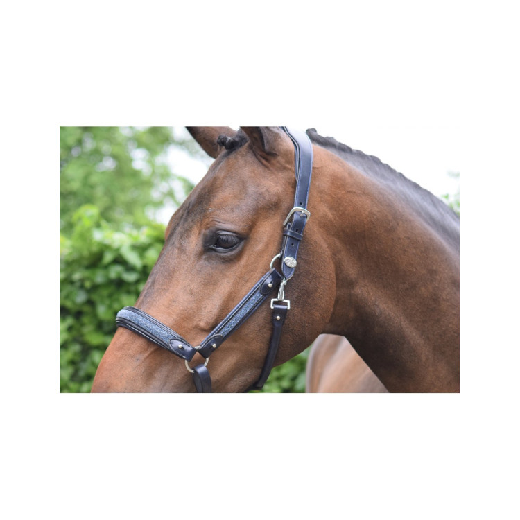 Licol Jump'In Crystal marine