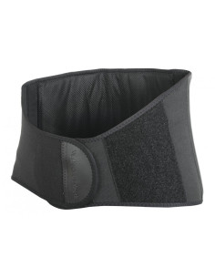 Back On Track Lumbar Belt