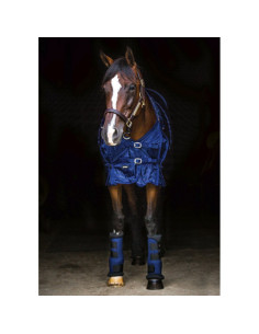 Chemise Back On Track Filet 2